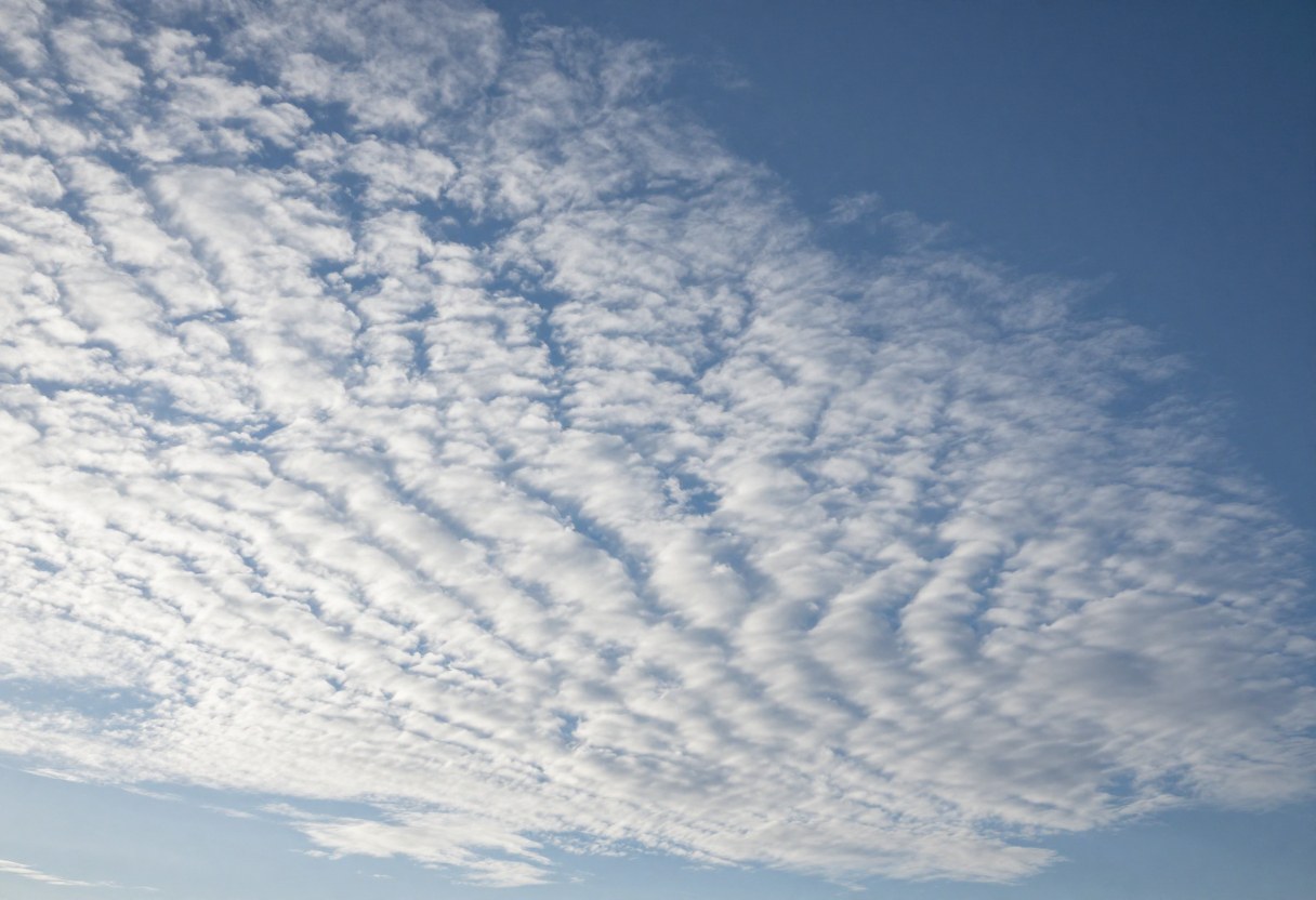 Photo-style AI-generated image of a high sky covered with tiny white rippled cloudlets