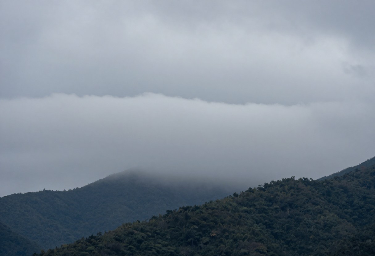 Photo-style AI-generated image of a low flat gray stratus layer sitting just above wooded hills