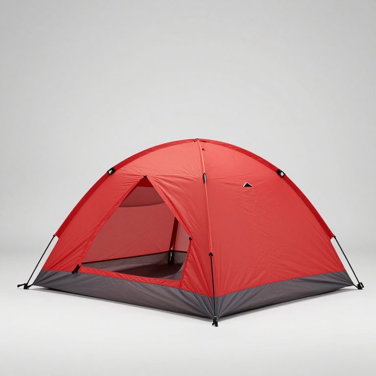MSR Access 1 Tent
