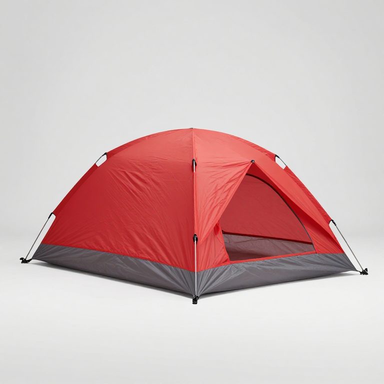 MSR Access 2 Tent